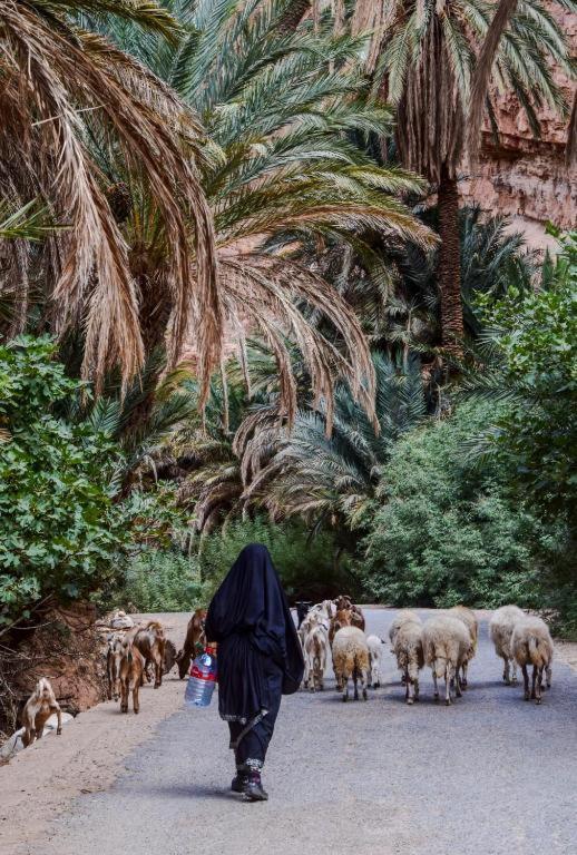 Click Excursions Tafraoute Taddart Exterior foto